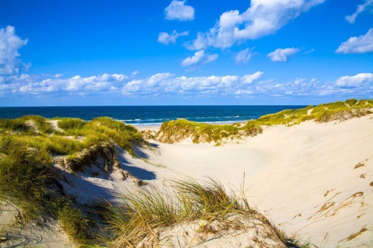 Düne am Meer von Dänemark